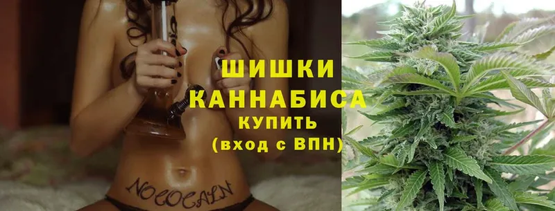 что такое   Ефремов  Бошки марихуана THC 21% 